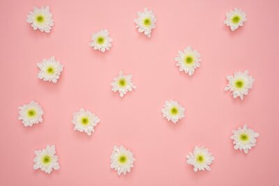 banner-marie-pinte.jpg banner-marie-pinte.jpg